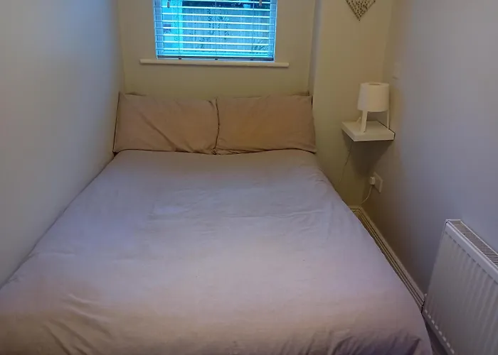 公寓 Compact One Bed Near Of Limerick Junction